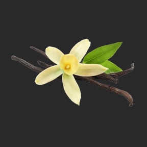 Ina Labs Ingredient